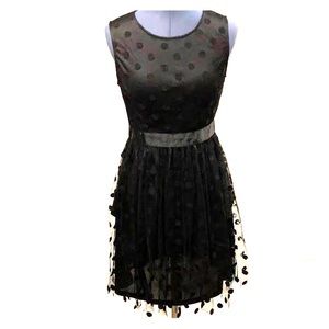 Lucy in Paris fit and flare polka dot lace dress.